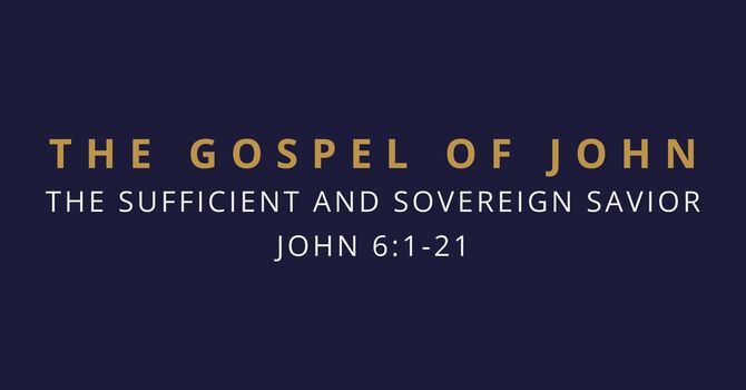 The Sufficient and Sovereign Savior