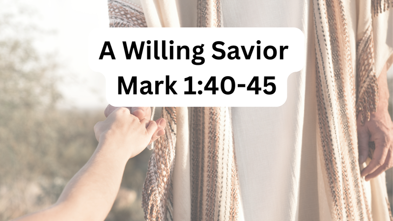 A Willing Savior