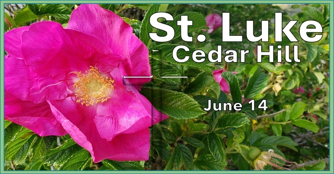 A Recording of the Service for June 14th is Now Available image