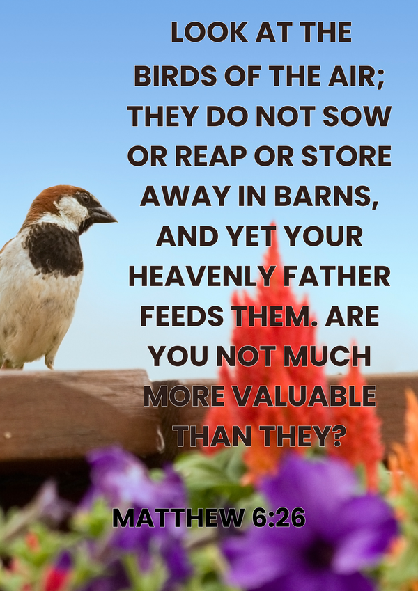 VERSE OF THE WEEK