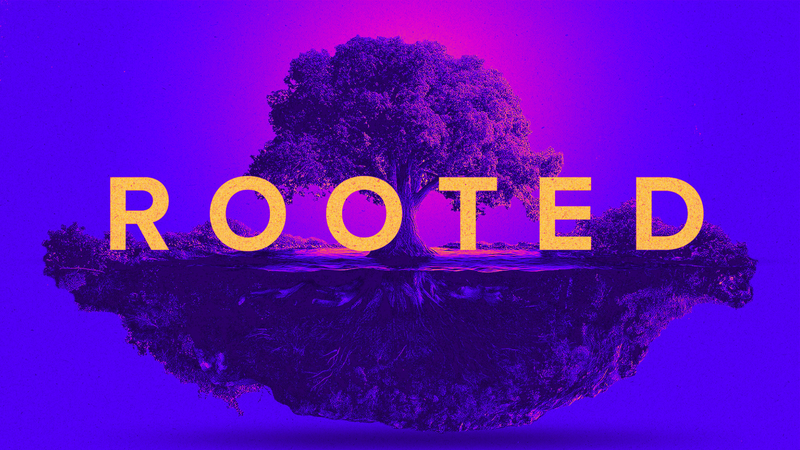 Rooted