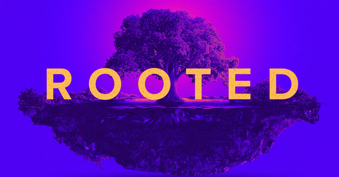 Rooted