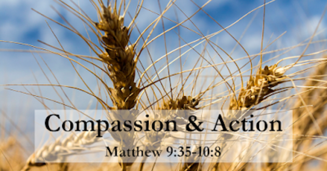 Sermon for June 14, 2026 by The Rev. Joseph J. Rose 