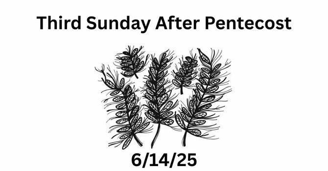 June 14th, 2026 - Third Sunday After Pentecost