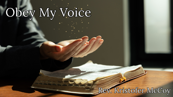 Obey My Voice