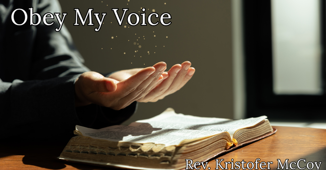 Obey My Voice