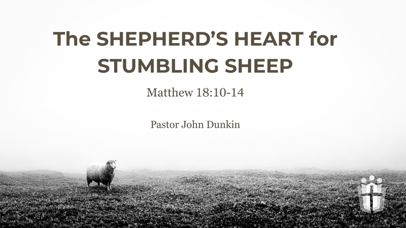 The Shepherd's Heart for Stumbling Sheep