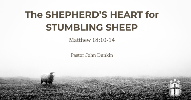 The Shepherd's Heart for Stumbling Sheep