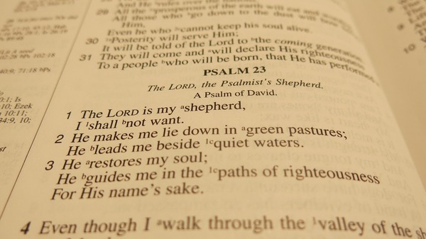 Summer Under the Psalm!