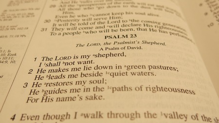 Summer Under the Psalm!