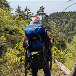 nav image