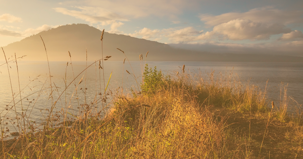 Summer Retreat on Salt Spring Island