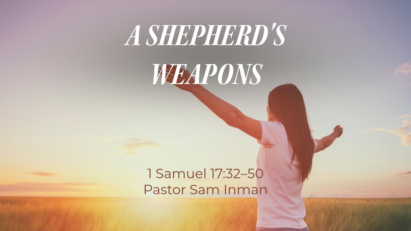 THE SHEPHERDS WEAPONS