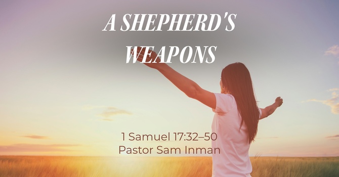 THE SHEPHERDS WEAPONS