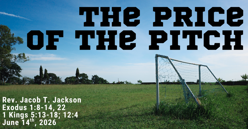 The Price of the Pitch