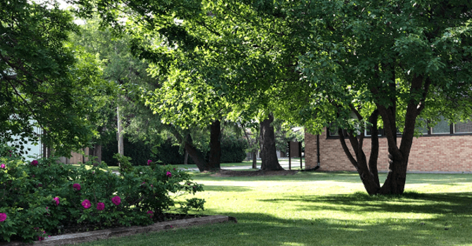 Worship Service  for April 11, 2021 - IN PERSON and ONLINE image