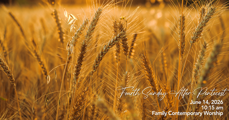 Third Sunday After Pentecost