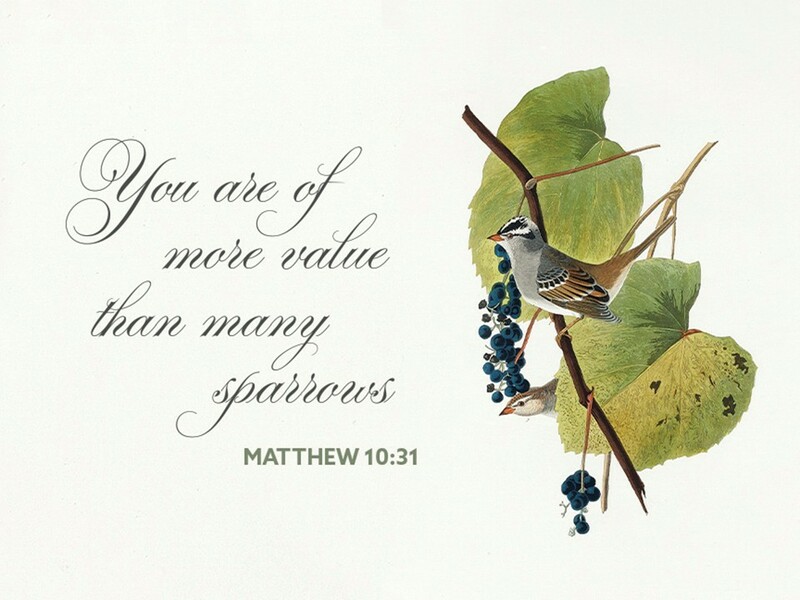 Worship Sunday, June 21, 2026