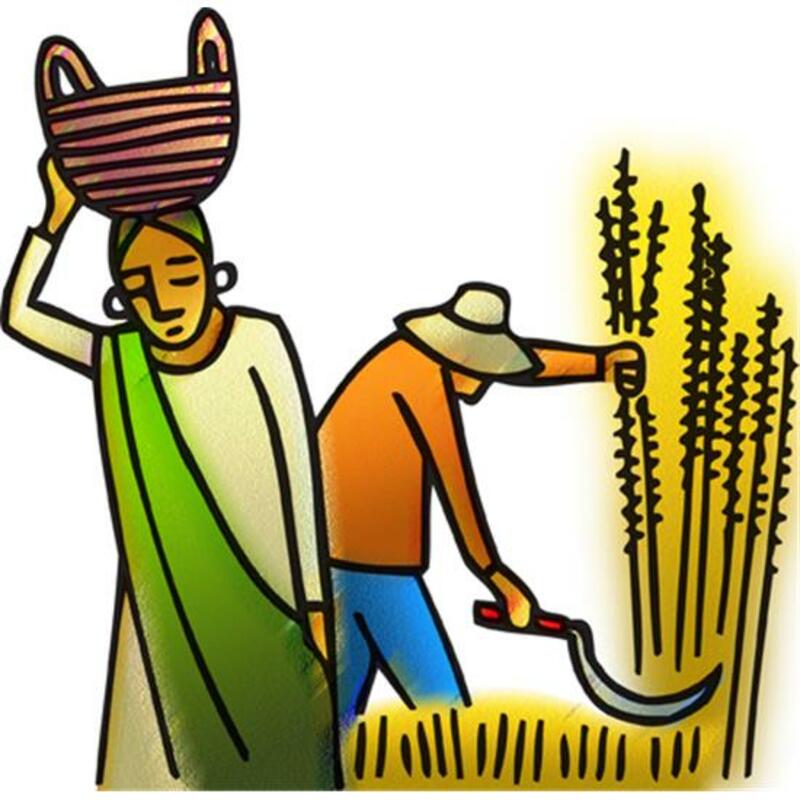 PENTECOST 3_LECTIONARY 11_2026-06-14 Worship