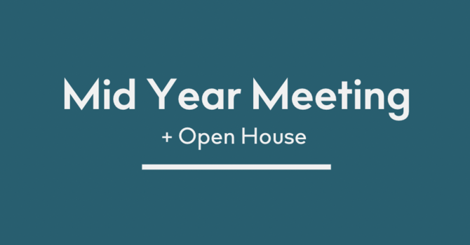 MID YEAR MEETING