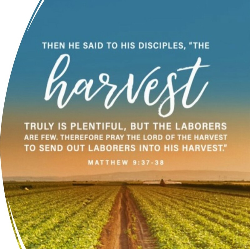 “Empowered for the Kingdom” by Pastor Brian Oxman