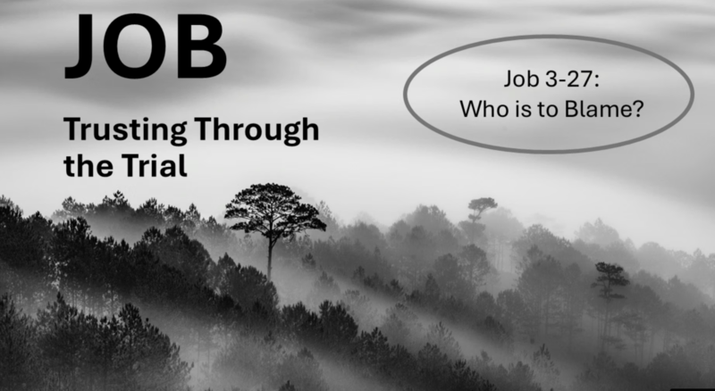 "Job: Trusting through the trial. Ch. 3-27...Who is to blame?"