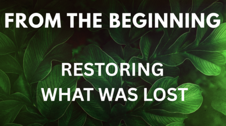 Genesis 1-11 Stories from the Beginning