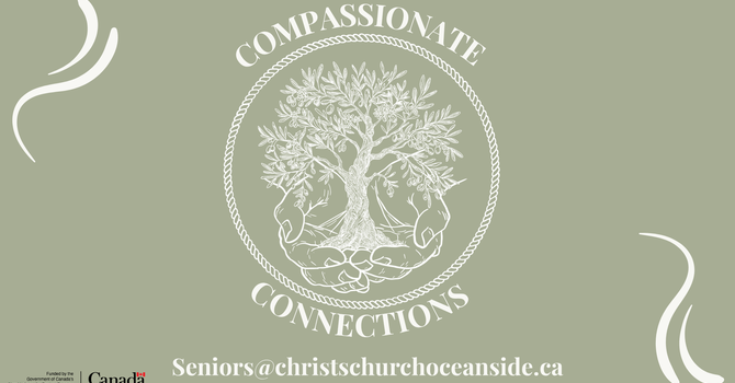 Compassionate Connections for Seniors