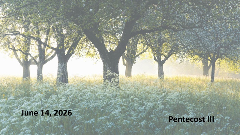 Sermon: “Prayer: Why / How” Part I