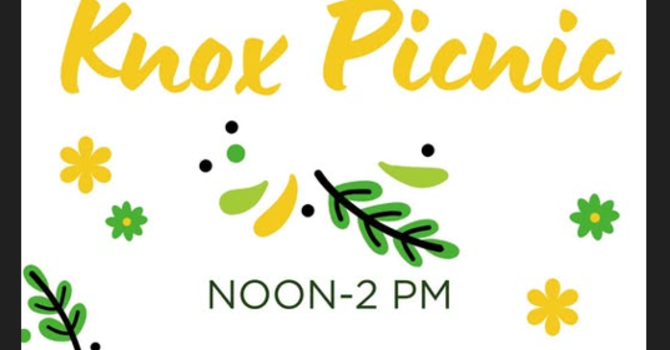 Knox Picnic