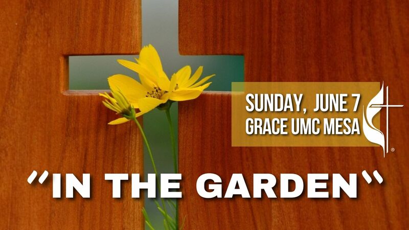 “In The Garden”