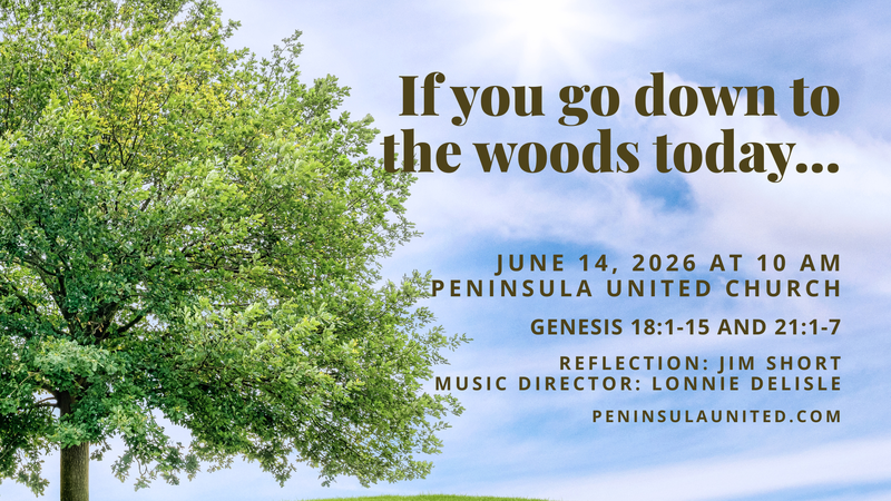 If you go down to the woods today