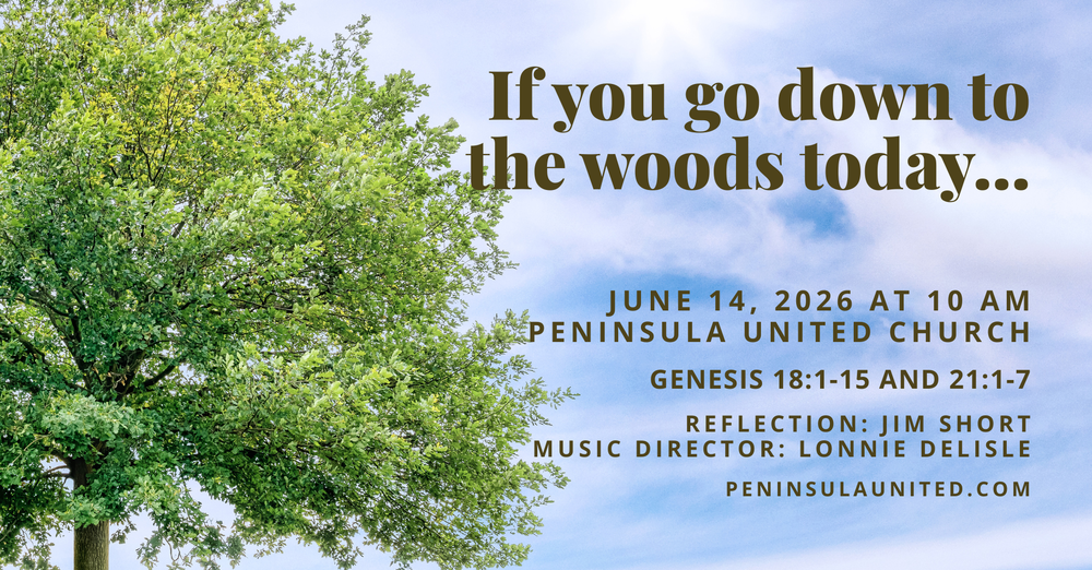 If you go down to the woods today