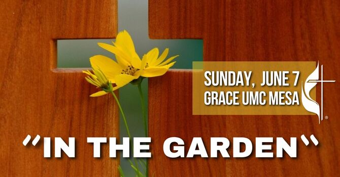 “In The Garden”