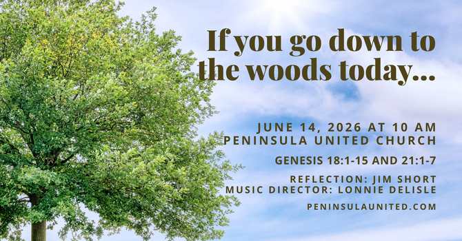 If you go down to the woods today