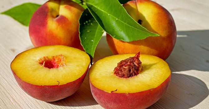 Senior Fellowship - Peach Trip