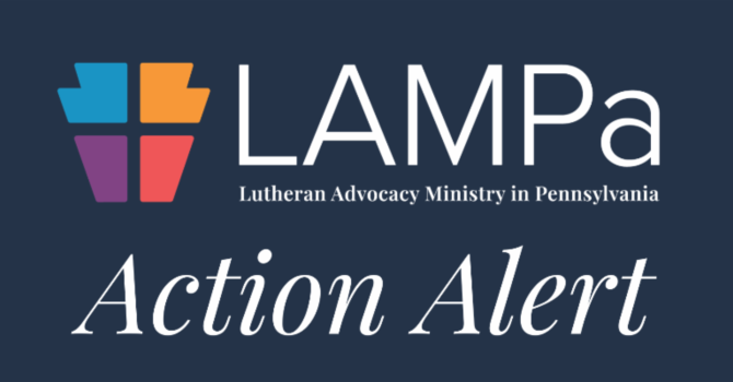 LAMPA Action Alert image