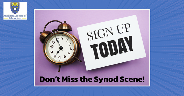 Don't Miss Out on News From the Diocese