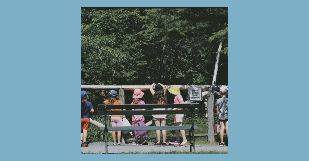 Preschool Camp - Science