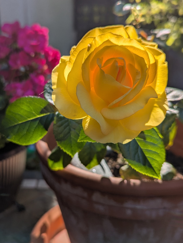 Slideshow image