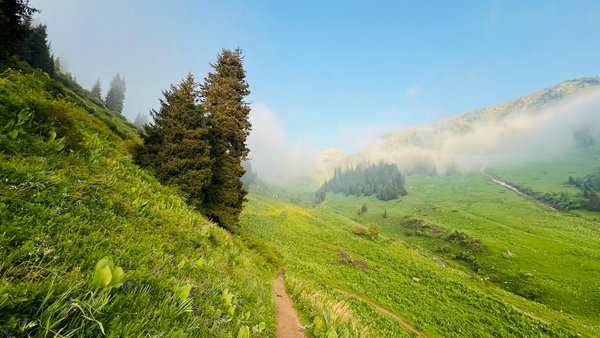 Sunrise Stride June 24: Morning Hike with Lisa!
