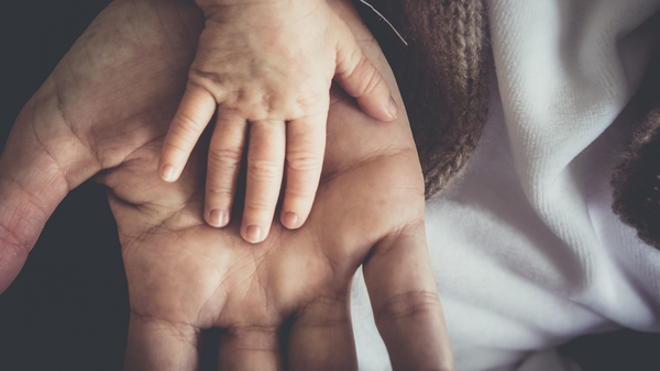 Celebrating All Who Nurture, Mentor, and Guide