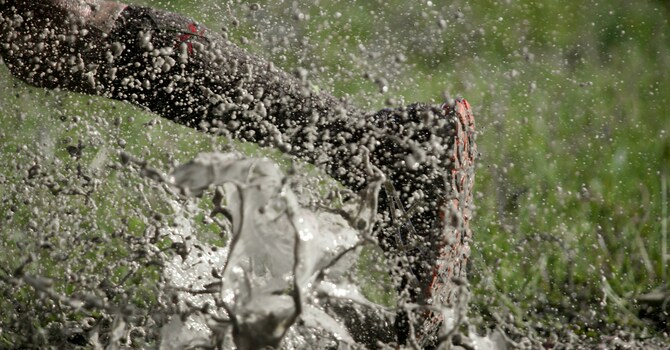 Don't Get Bogged Down