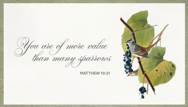 Fourth Sunday After Pentecost