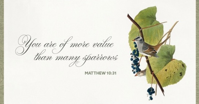Fourth Sunday After Pentecost
