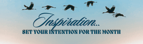 Inspiration From The Mothership
