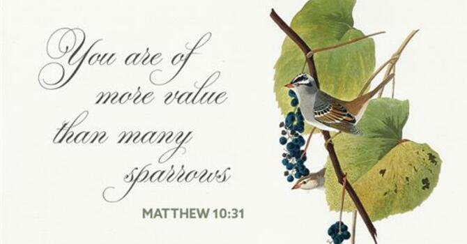 June 21 Worship