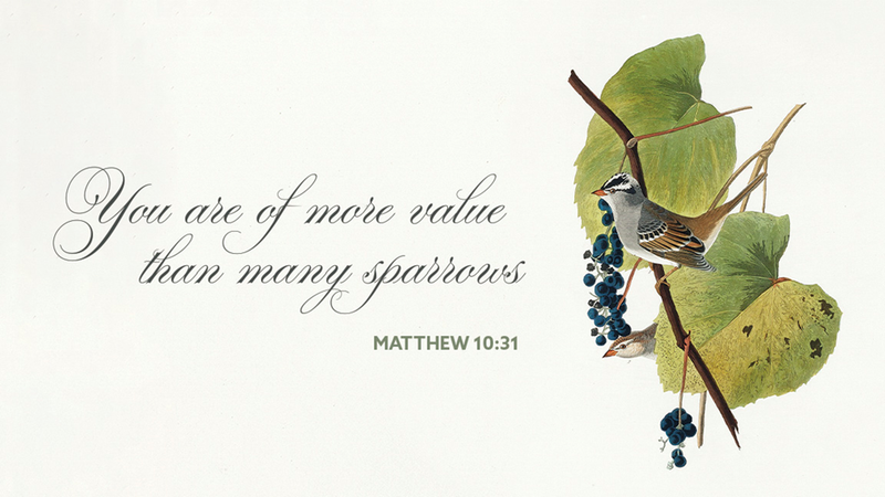 4th Sunday after Pentecost