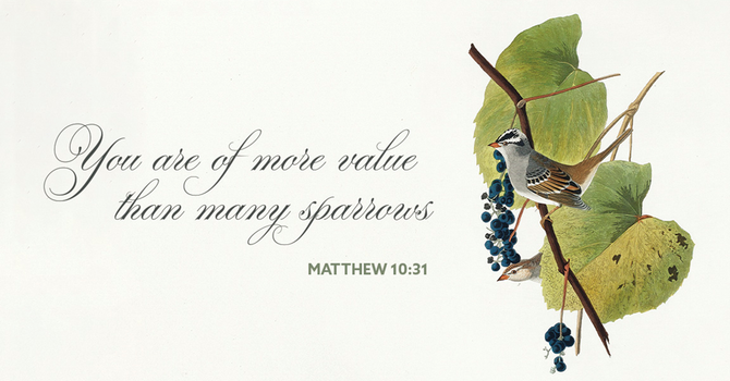 4th Sunday after Pentecost
