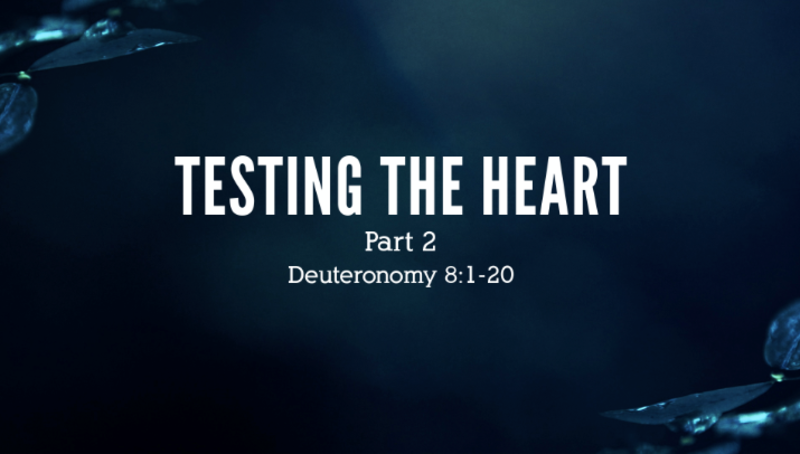 Testing the Heart, part 2